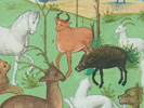[ EXPOSITION] Les animaux sauvages au Moyen Âge dès le jeudi 11 mars à 14h