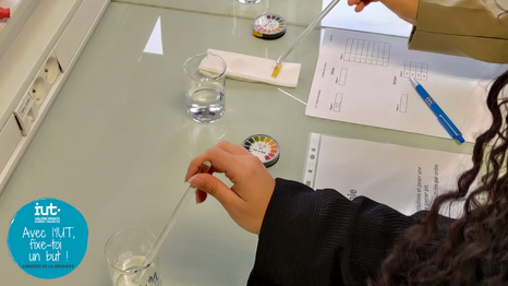 Cordées de la réussite à Maubeuge - Avec l'IUT fixe-toi un BUT - PHOTO 1  