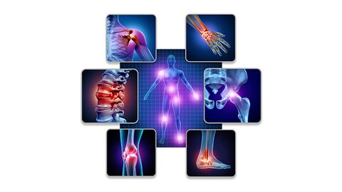 image SPORT SCIENCE SANTÉ