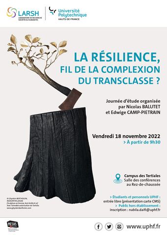 Affiche "La résilience, fil de la complexion du transclasse ?"