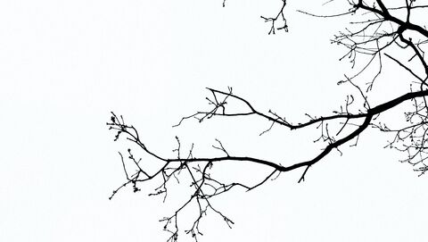 Photo de Nick Nice sur Unsplash