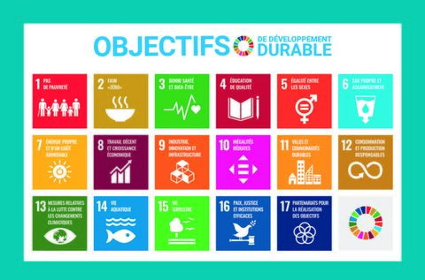 ODD de l'ONU ODD de l'ONU