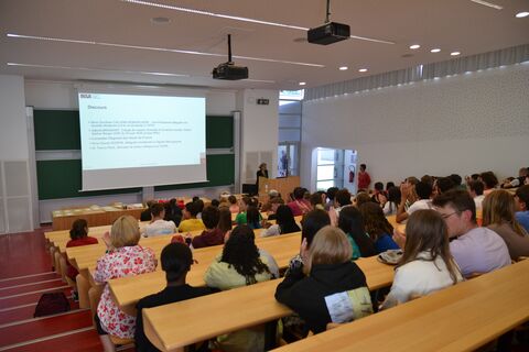 insa je veux je peux